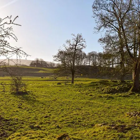 Piece Fields *